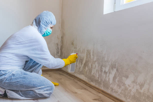 Commercial Mold Remediation assessment for commercial property in Ronkonkoma